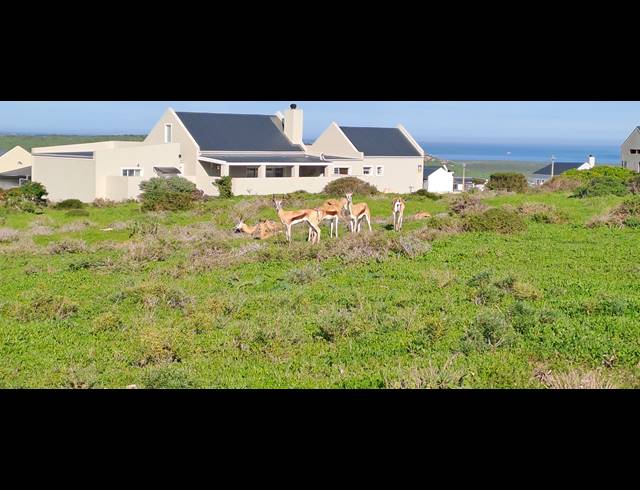 749M² VACANT LAND FOR SALE IN HOOGLAND